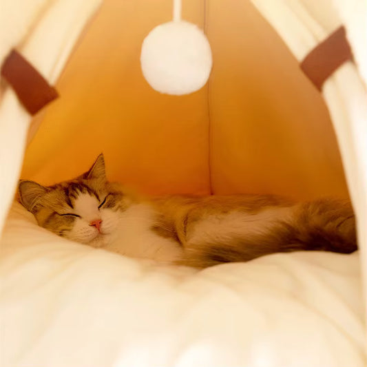 Cat Tent Bed with Googly Eyes Multicolor